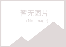 河池岑迷化学有限公司